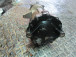 DIFFERENTIAL REAR Hyundai Santafe 2007 2.2D 