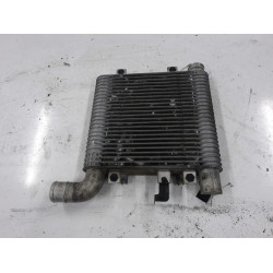 INTERCOOLER Hyundai Santafe 2007 2.2 CRDI AUT. 4WD 