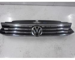 GRIGLIA COFANO Volkswagen Passat 2017 2.0 TDI AUT. 